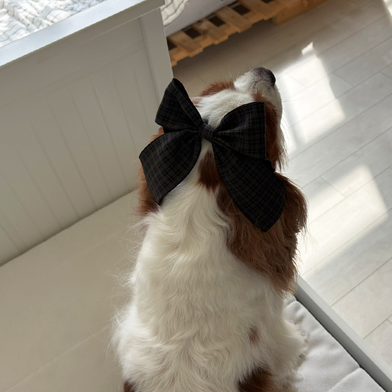 [NEW신상][무료배송] 해피댕댕 체크리본 3종 (챠콜,카키,브라운) 16번째