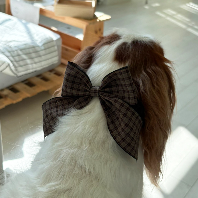 [NEW신상][무료배송] 해피댕댕 체크리본 3종 (챠콜,카키,브라운) 9번째