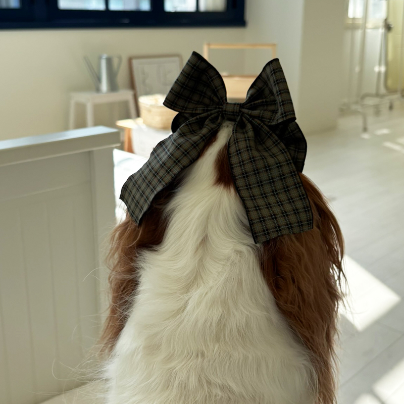 [NEW신상][무료배송] 해피댕댕 체크리본 3종 (챠콜,카키,브라운) 12번째