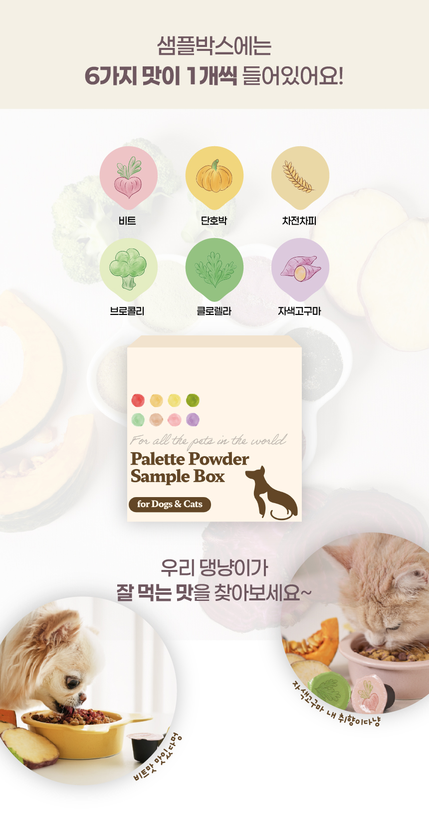 [NEW신상][무료배송] 페네핏 팔레트파우더 샘플박스 4g*6개입 2번째