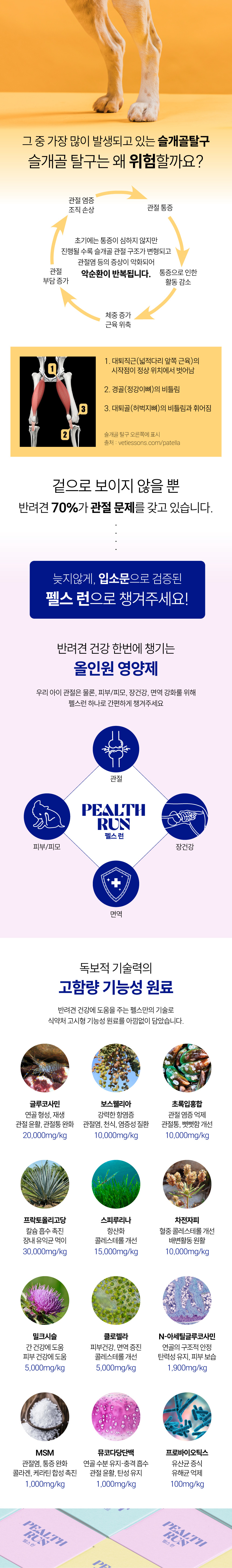 [NEW신상][무료배송] 펠스 독 펠스런 관절&피부&장&면역 종합영양제 120g 5번째