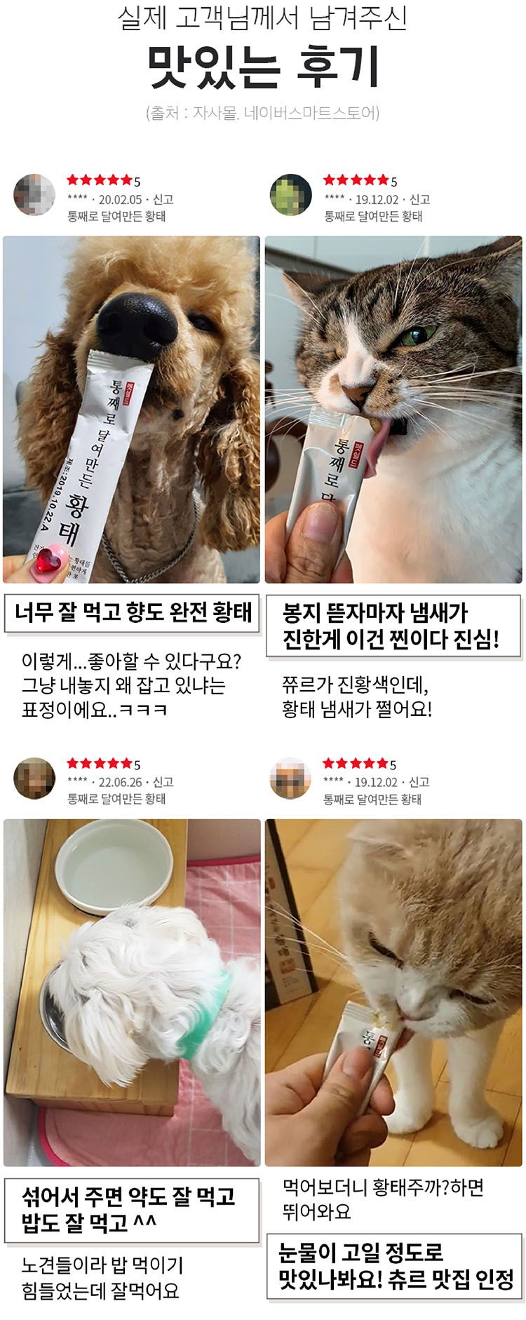 [무료배송] 펫쉴드 독 통째로 달여만든 황태 15g*20p 3번째