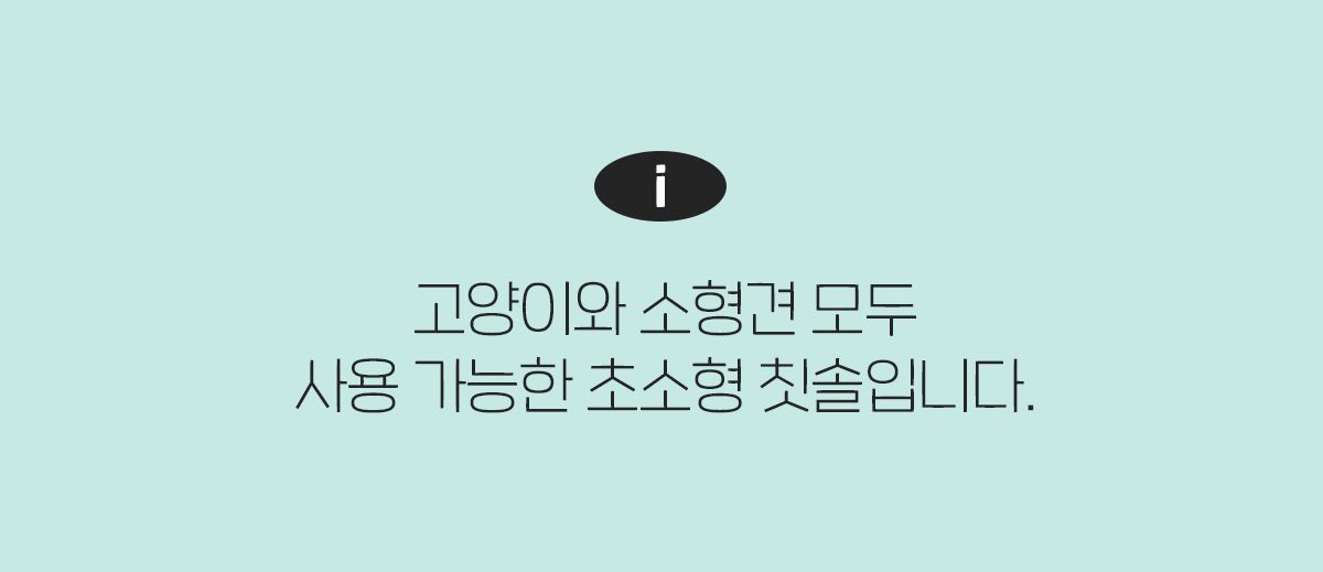 페스룸 덴탈클린 칫솔 XS 2번째