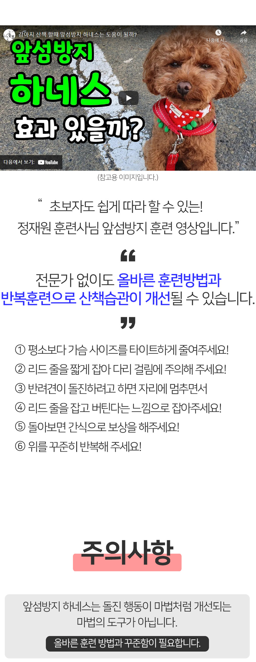 [무료배송] 멍템 앞섬방지 하네스 레드/핑크/오렌지/그린/블루/블랙/베이지 XXS-XL 27번째