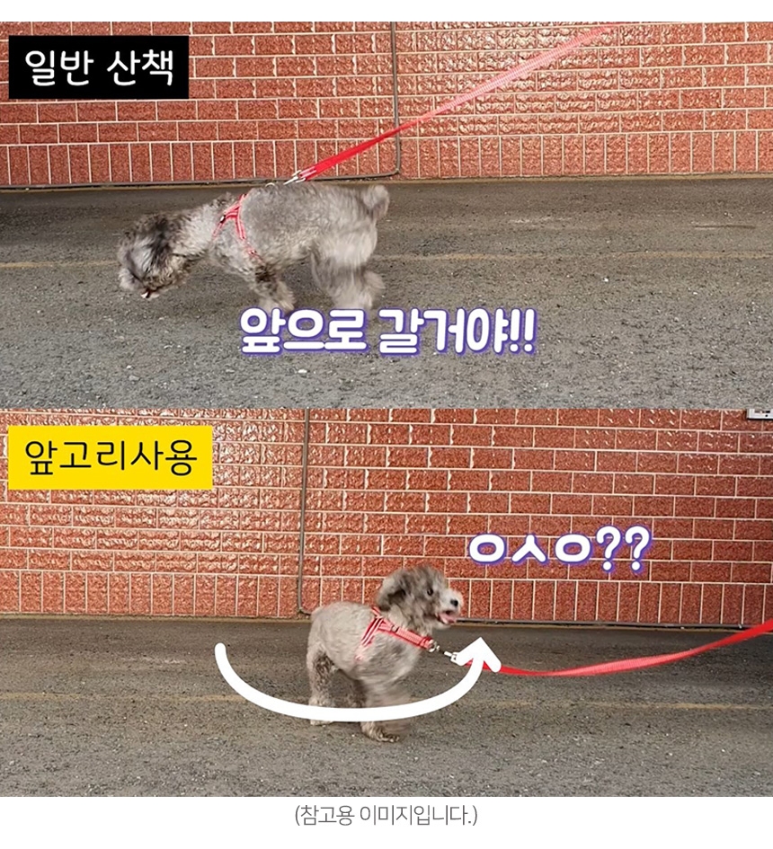 [무료배송] 멍템 앞섬방지 하네스 레드/핑크/오렌지/그린/블루/블랙/베이지 XXS-XL 1번째