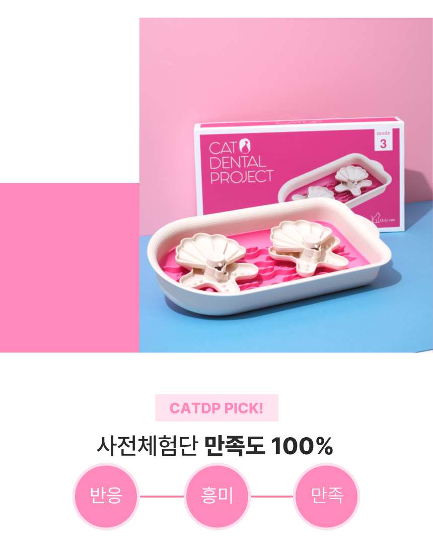 [무료배송] 캣디피 프레시월드 고양이 먹이퍼즐 노즈워크 30번째