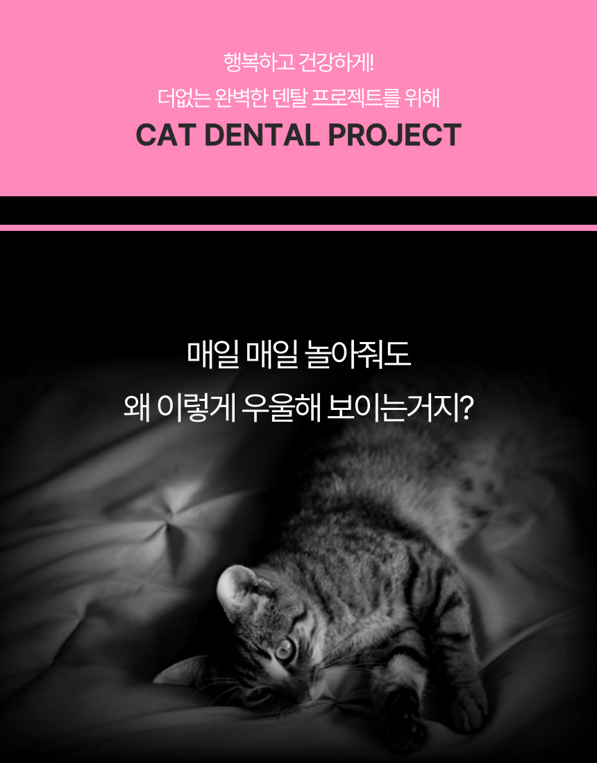 [무료배송] 캣디피 프레시월드 고양이 먹이퍼즐 노즈워크 9번째