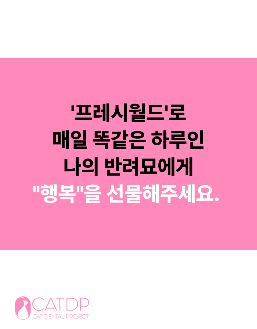 [무료배송] 캣디피 프레시월드 고양이 먹이퍼즐 노즈워크 6번째
