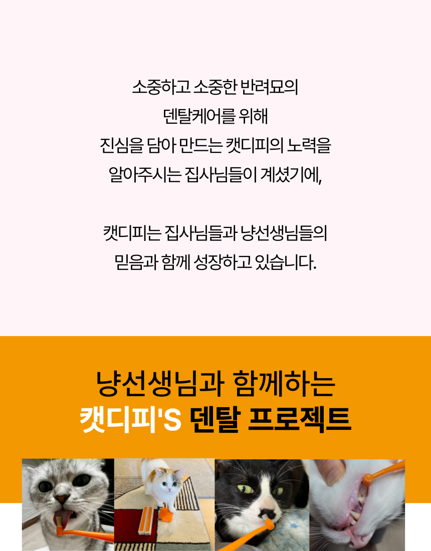 [무료배송] 캣디피 프레시월드 고양이 먹이퍼즐 노즈워크 52번째