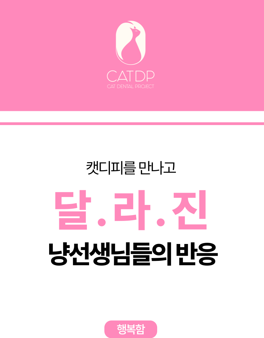 [무료배송] 캣디피 프레시월드 고양이 먹이퍼즐 노즈워크 13번째