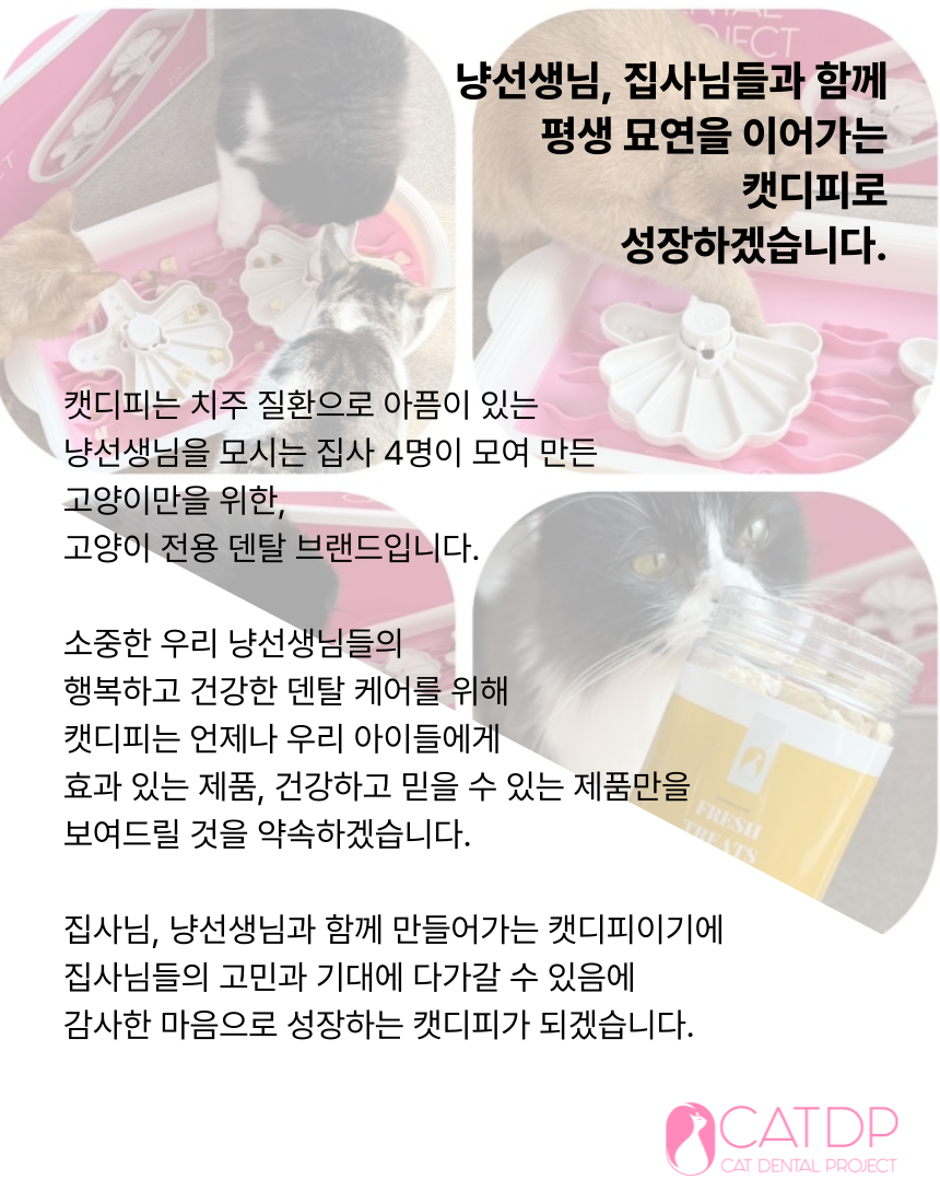 [무료배송] 캣디피 프레시월드 고양이 먹이퍼즐 노즈워크 54번째