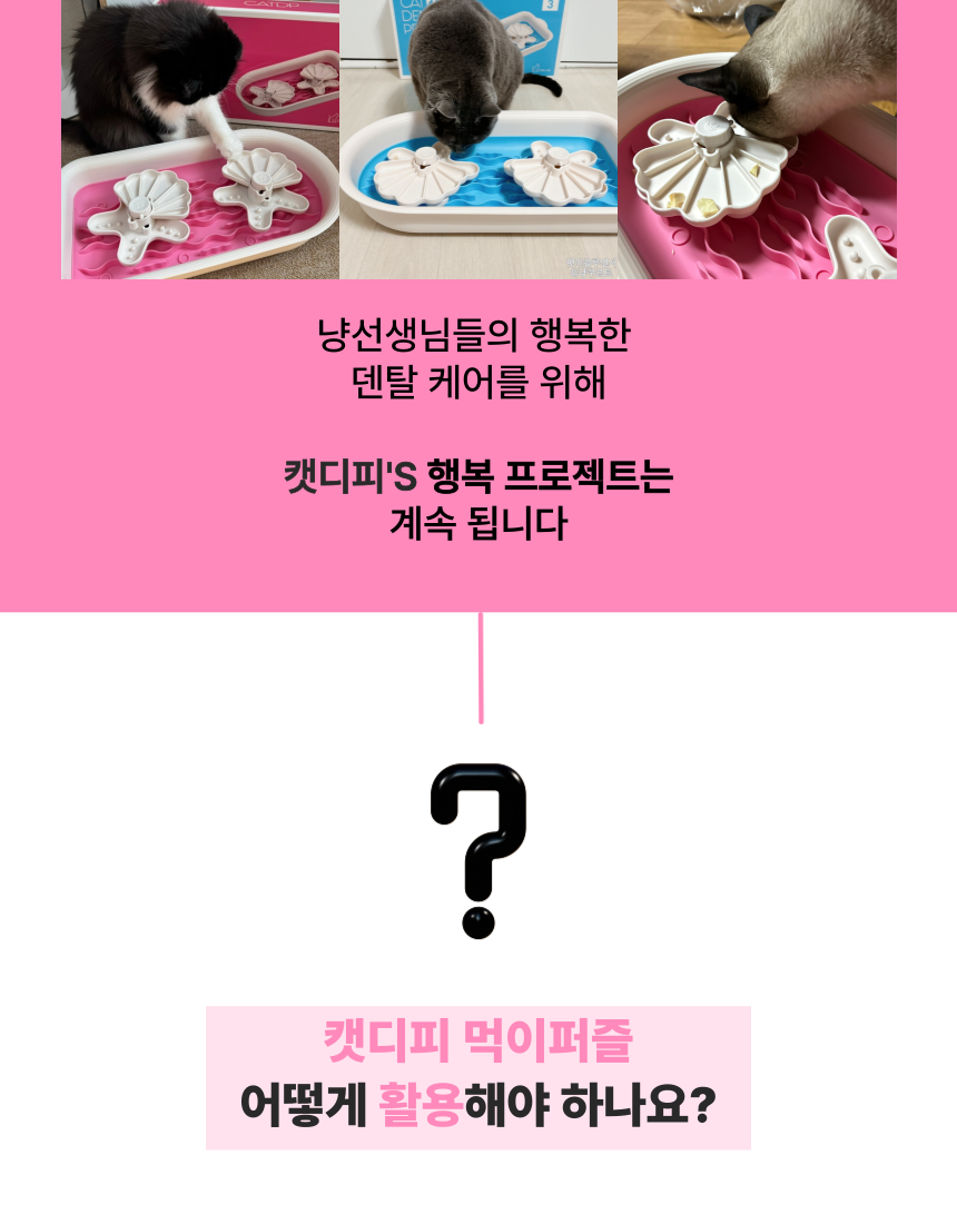 [무료배송] 캣디피 프레시월드 고양이 먹이퍼즐 노즈워크 32번째