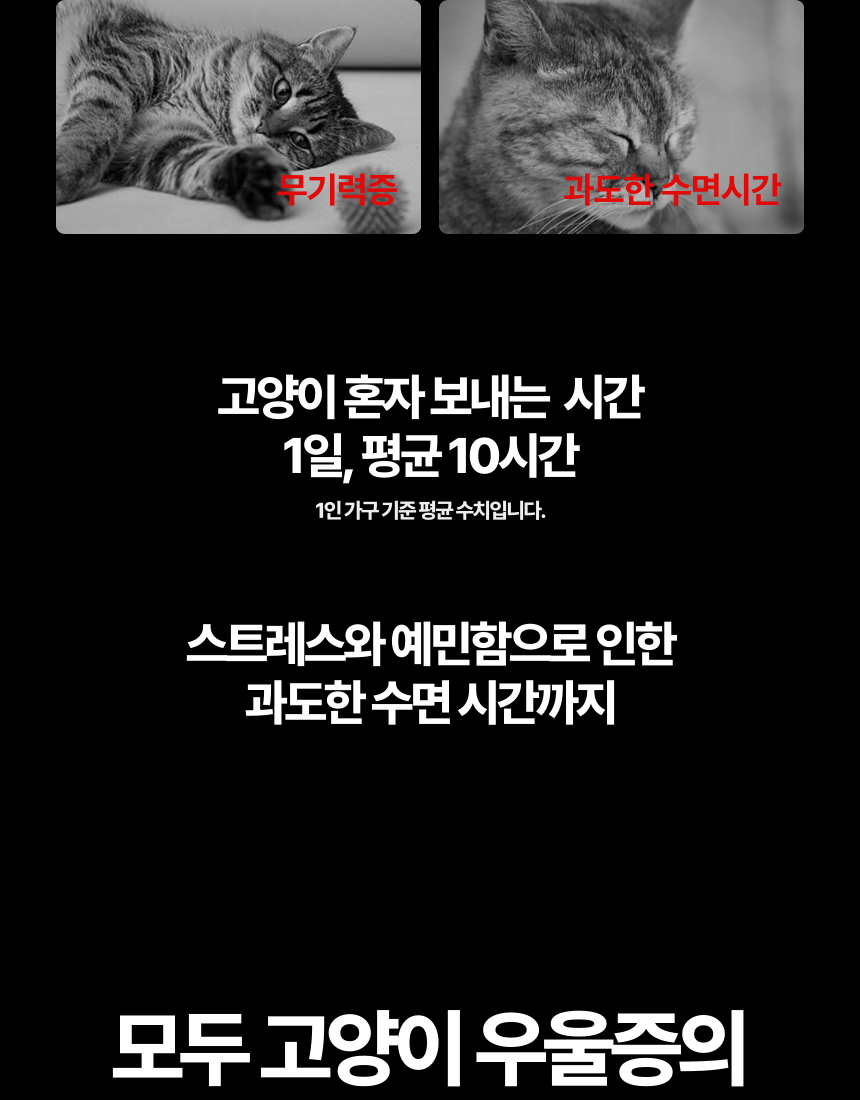 [무료배송] 캣디피 프레시월드 고양이 먹이퍼즐 노즈워크 11번째