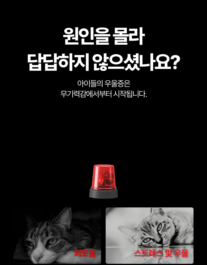 [무료배송] 캣디피 프레시월드 고양이 먹이퍼즐 노즈워크 10번째