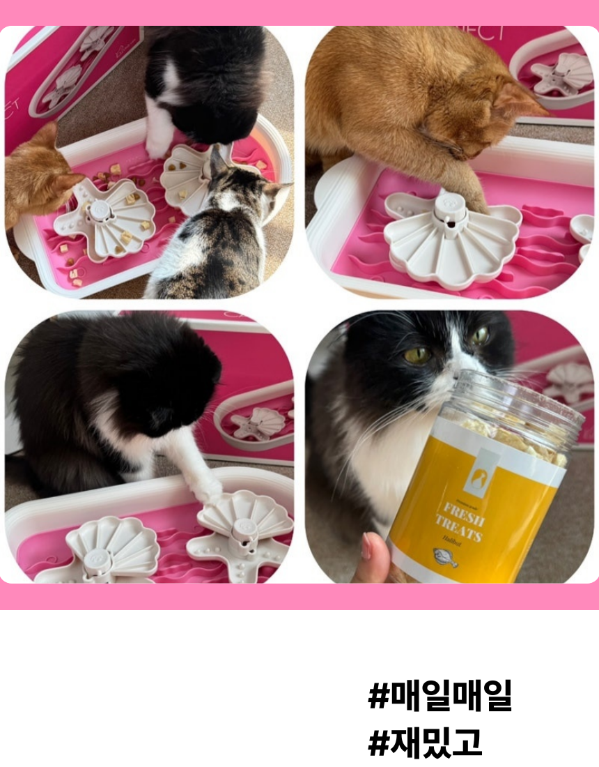 [무료배송] 캣디피 프레시월드 고양이 먹이퍼즐 노즈워크 7번째