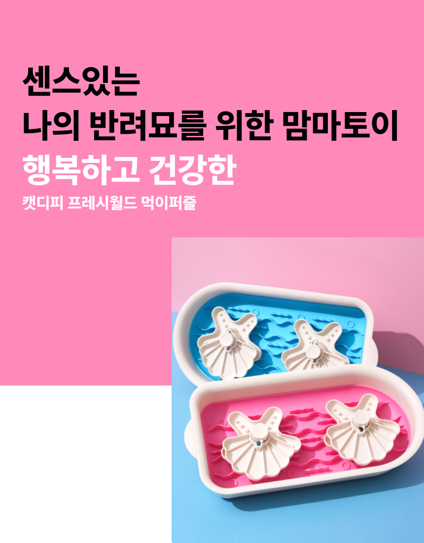 [무료배송] 캣디피 프레시월드 고양이 먹이퍼즐 노즈워크 48번째