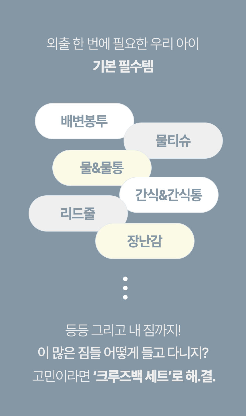 [NEW신상][무료배송] 폼포라펫 크루즈백 세트 2번째