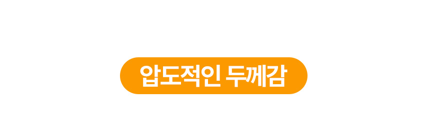 [NEW신상][무료배송] 벨버드 독 클래식 패드 100매 13번째