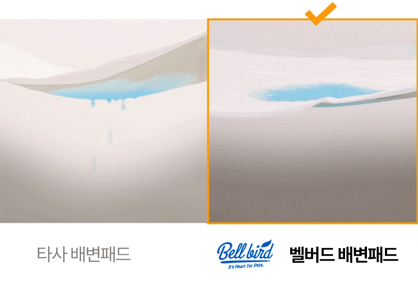 [NEW신상][무료배송] 벨버드 독 클래식 패드 100매 12번째