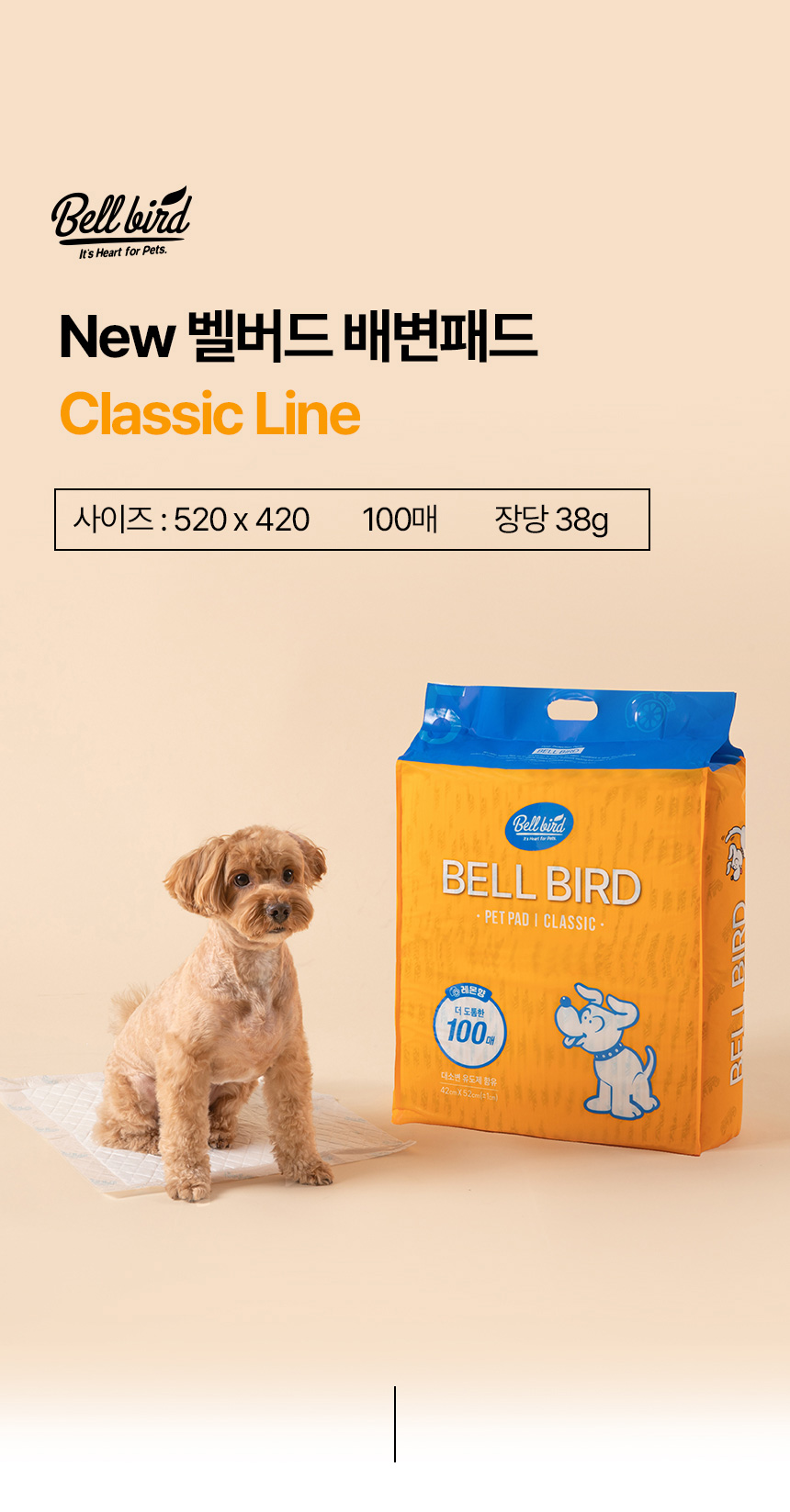 [NEW신상][무료배송] 벨버드 독 클래식 패드 100매 16번째