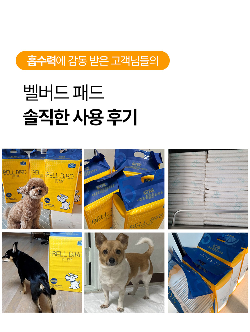 [NEW신상][무료배송] 벨버드 독 클래식 패드 100매 8번째