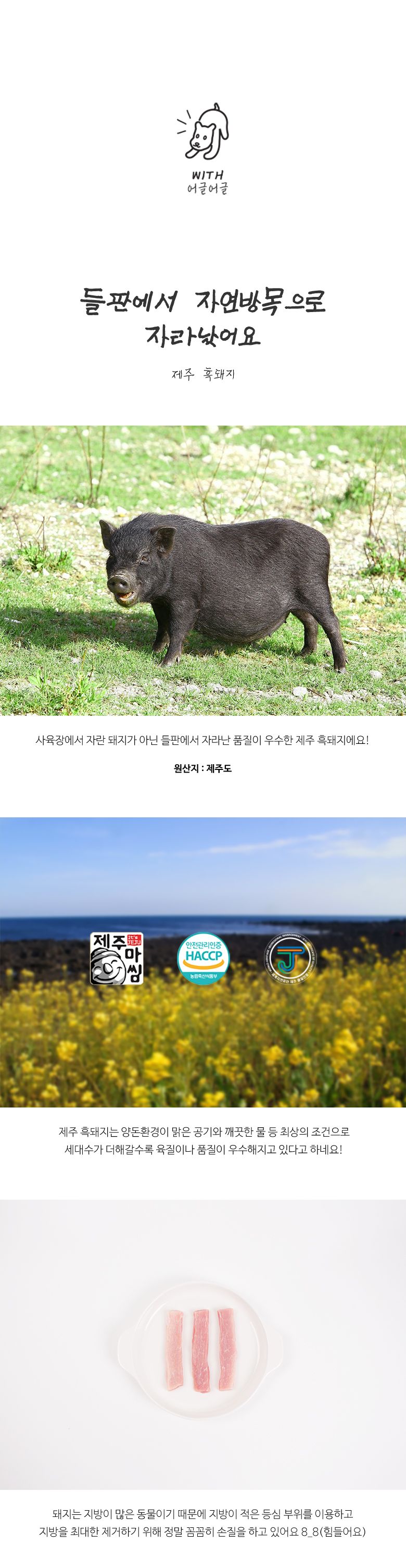 [무료배송] 어글어글 독 VALUE PACK 제주 청정 흑돼지 육포 50g*5개입 2번째