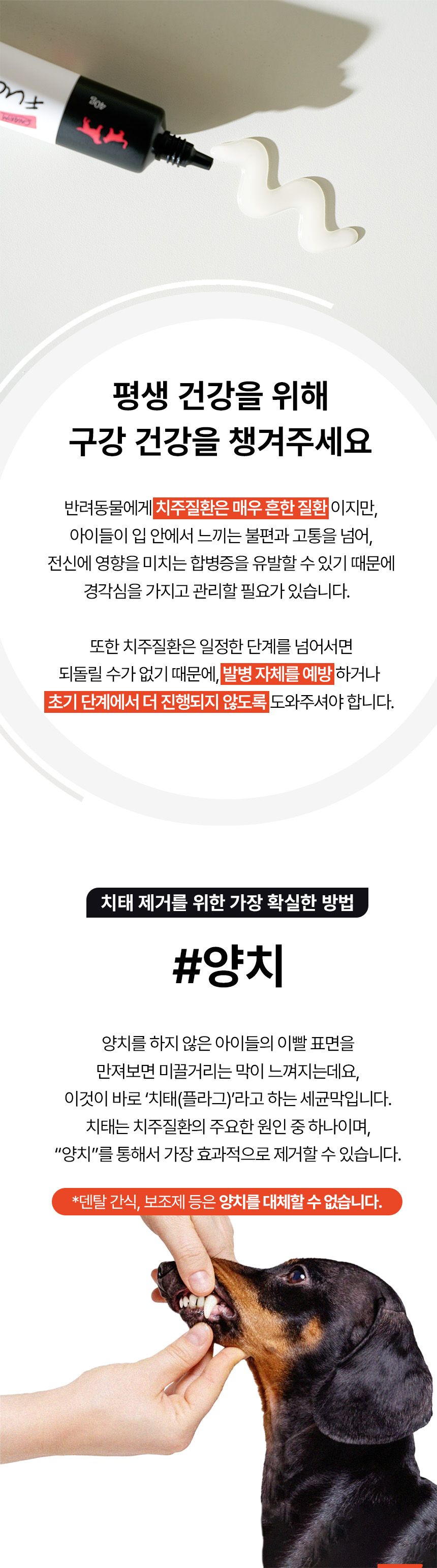 페피테일 참 후코덴탈 겔 40g 3번째