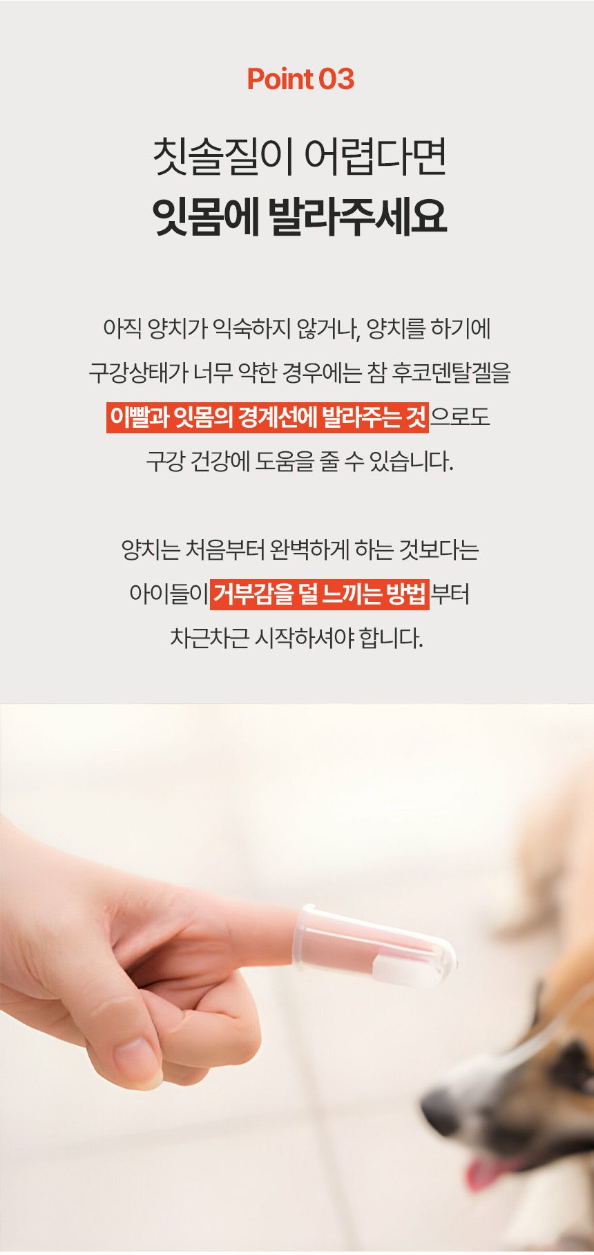 페피테일 참 후코덴탈 겔 40g 12번째