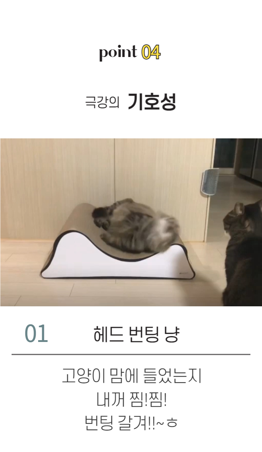 [무료배송] 묘견인생 바스테트 스크래쳐 팬텀 15번째