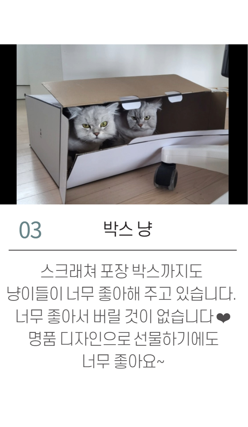 [무료배송] 묘견인생 바스테트 스크래쳐 팬텀 17번째
