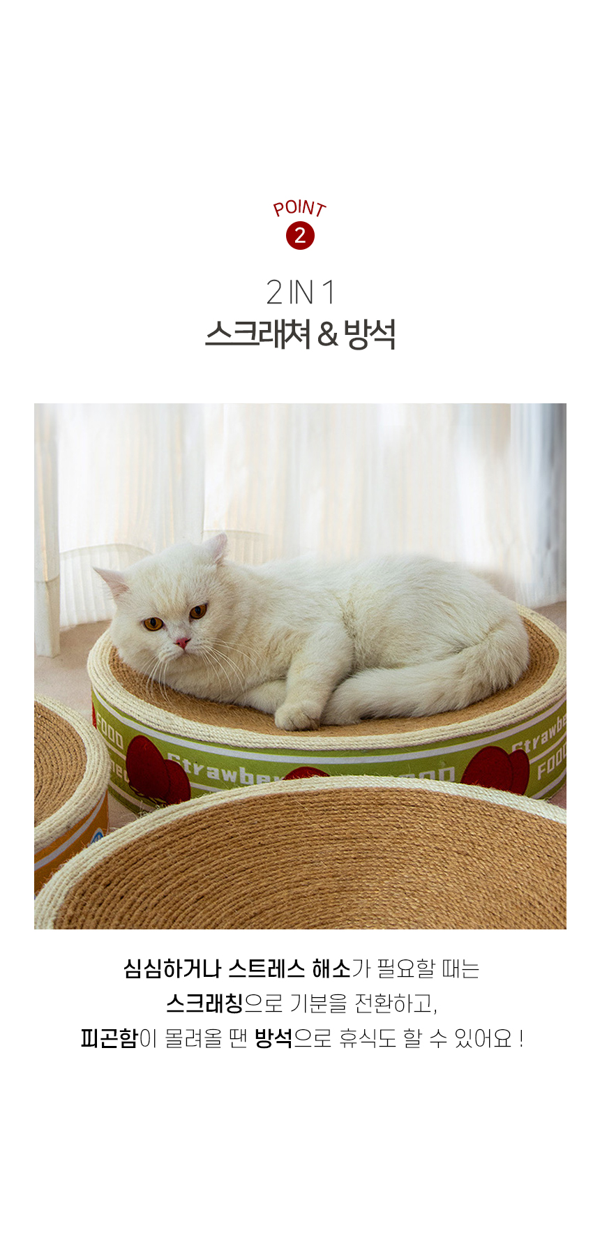 [NEW신상][무료배송] 개과천선 캣 어몽드 통조림 스크래쳐 (색상랜덤) 5번째