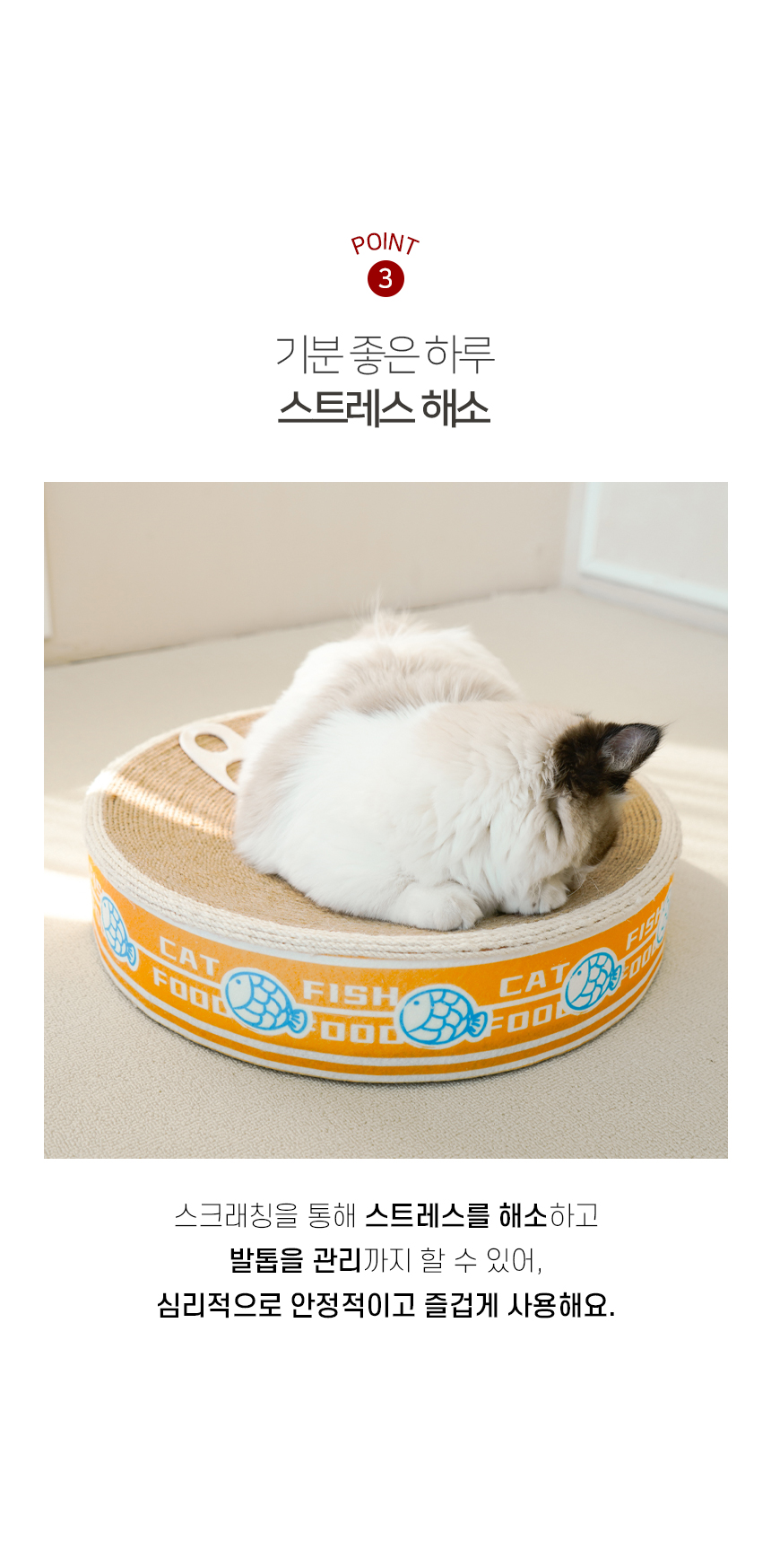 [NEW신상][무료배송] 개과천선 캣 어몽드 통조림 스크래쳐 (색상랜덤) 6번째