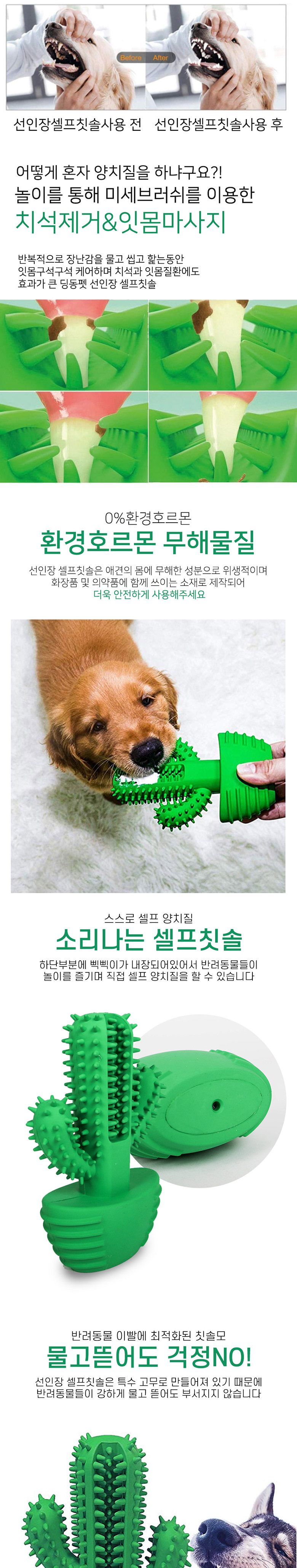 [무료배송] 딩동펫 반려동물 라텍스칫솔 선인장 셀프칫솔 2번째