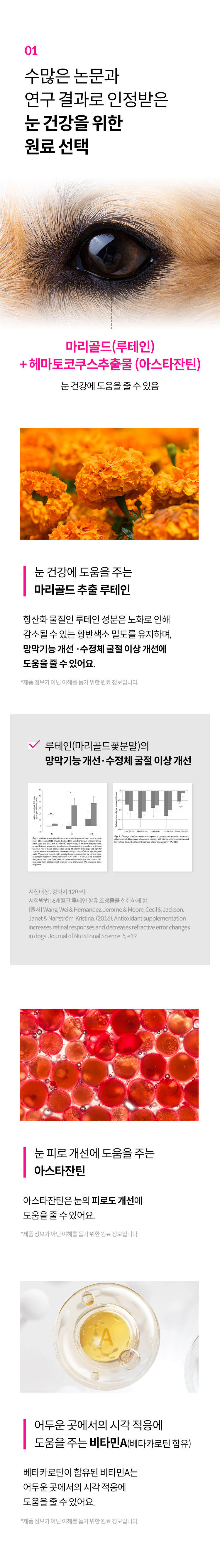 [무료배송] 닥터펫스퍼트 루테인&아스타잔틴 아이클리어 다이렉트 필름 30매 5번째