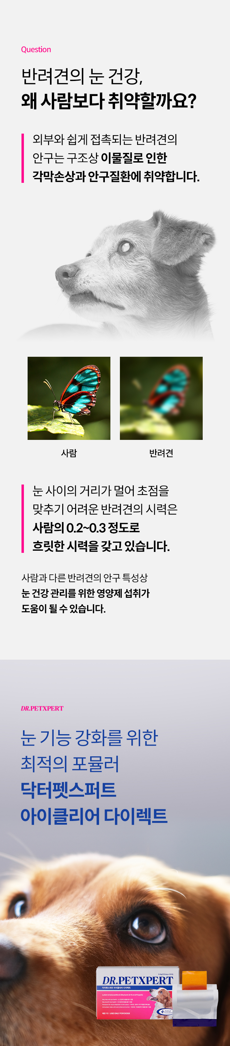 [무료배송] 닥터펫스퍼트 루테인&아스타잔틴 아이클리어 다이렉트 필름 30매 4번째