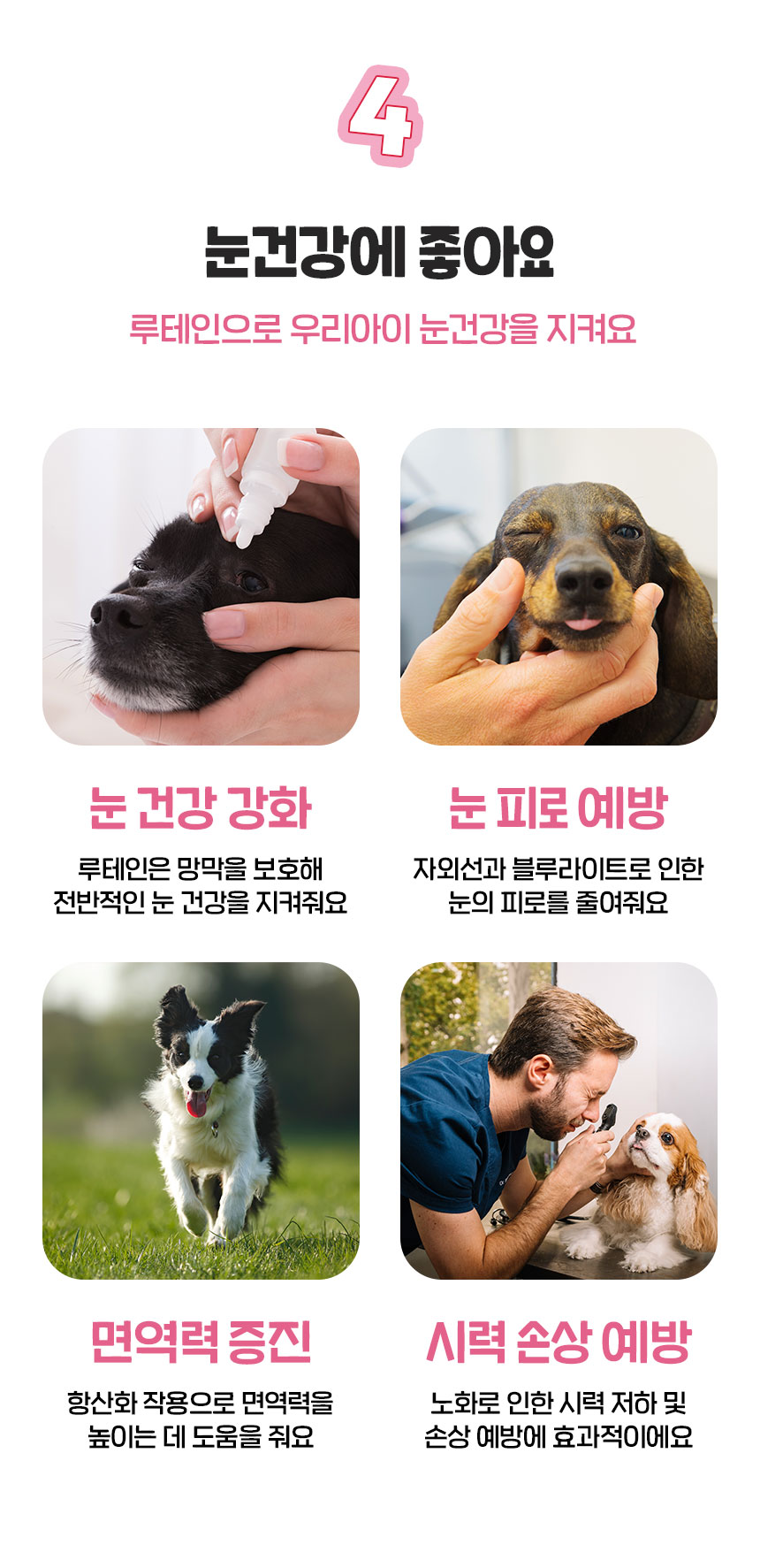 [무료배송] 슈퍼포우 굿보이트릿 딸기 200g 15번째