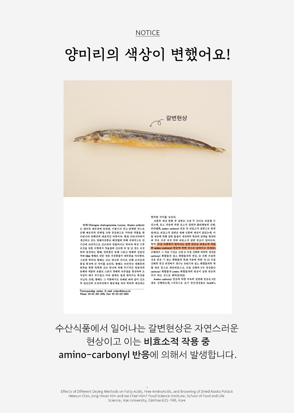 조공 양미리 15g 21번째