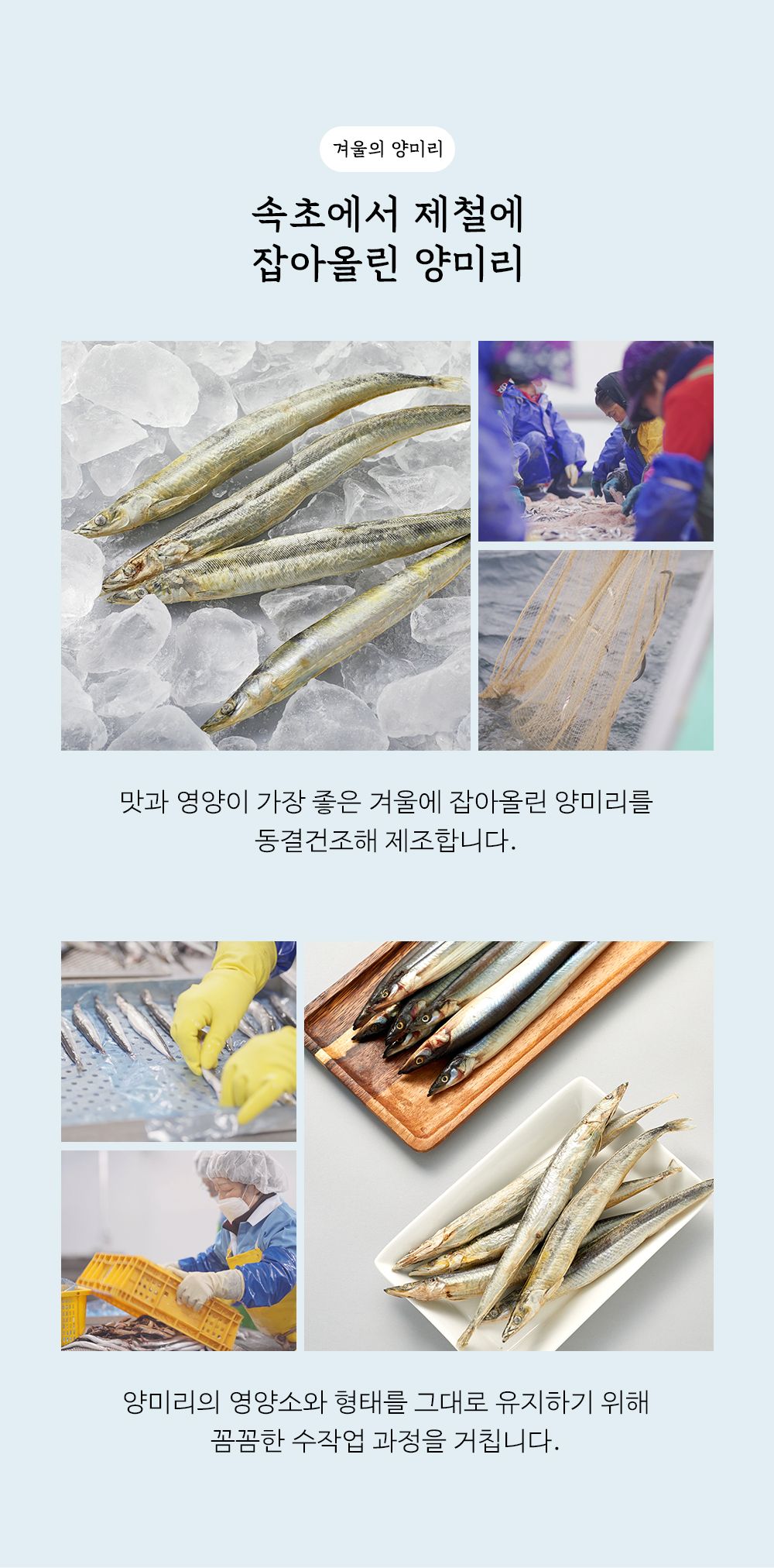 조공 양미리 15g 16번째