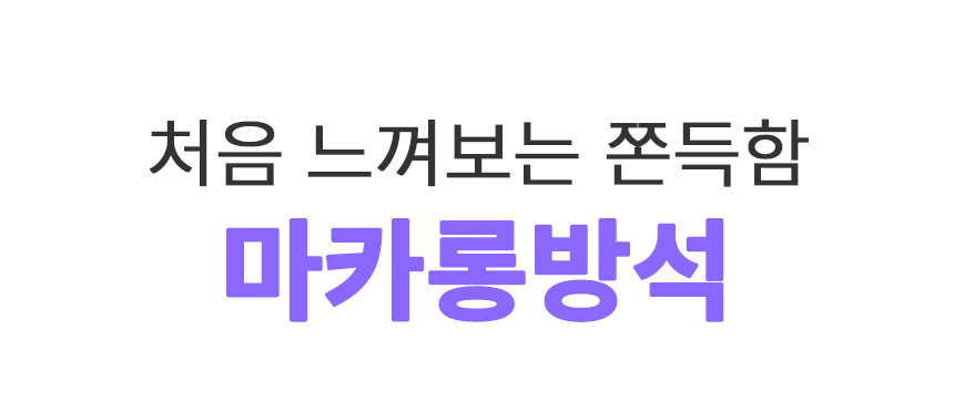 [무료배송] 초코펫하우스 마카롱 방석 소형/일반형/프리미엄 11종 32번째