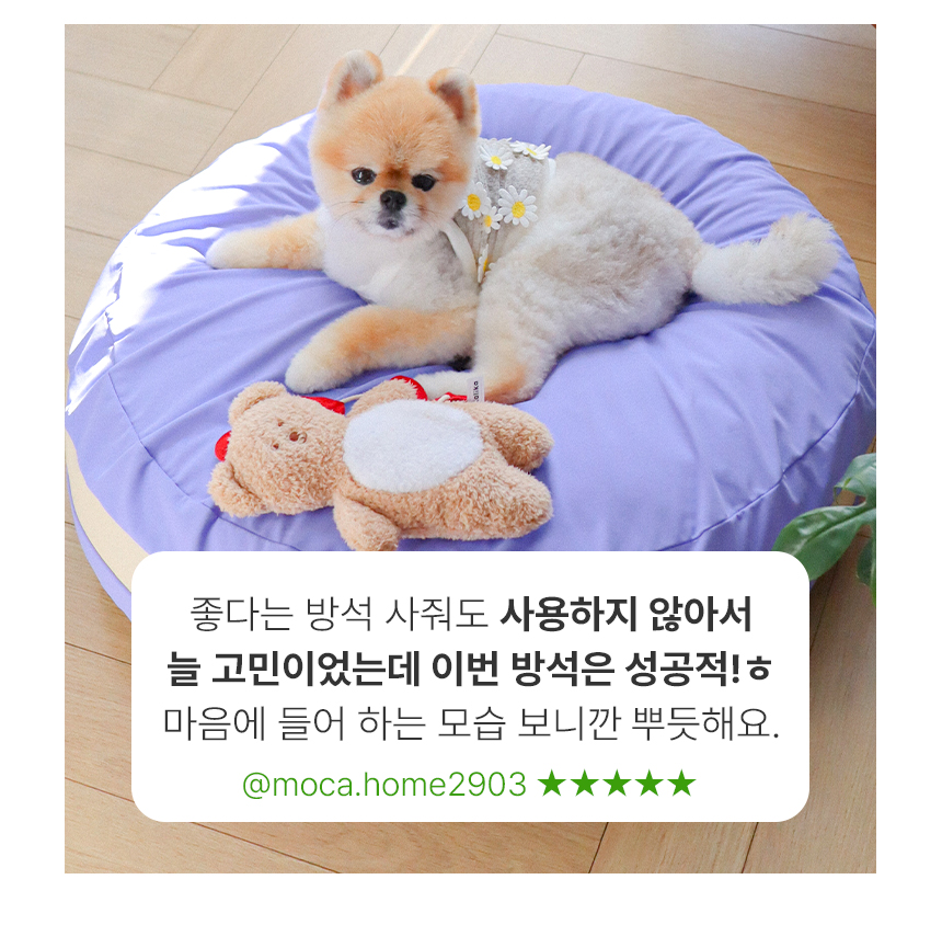[무료배송] 초코펫하우스 마카롱 방석 소형/일반형/프리미엄 11종 20번째
