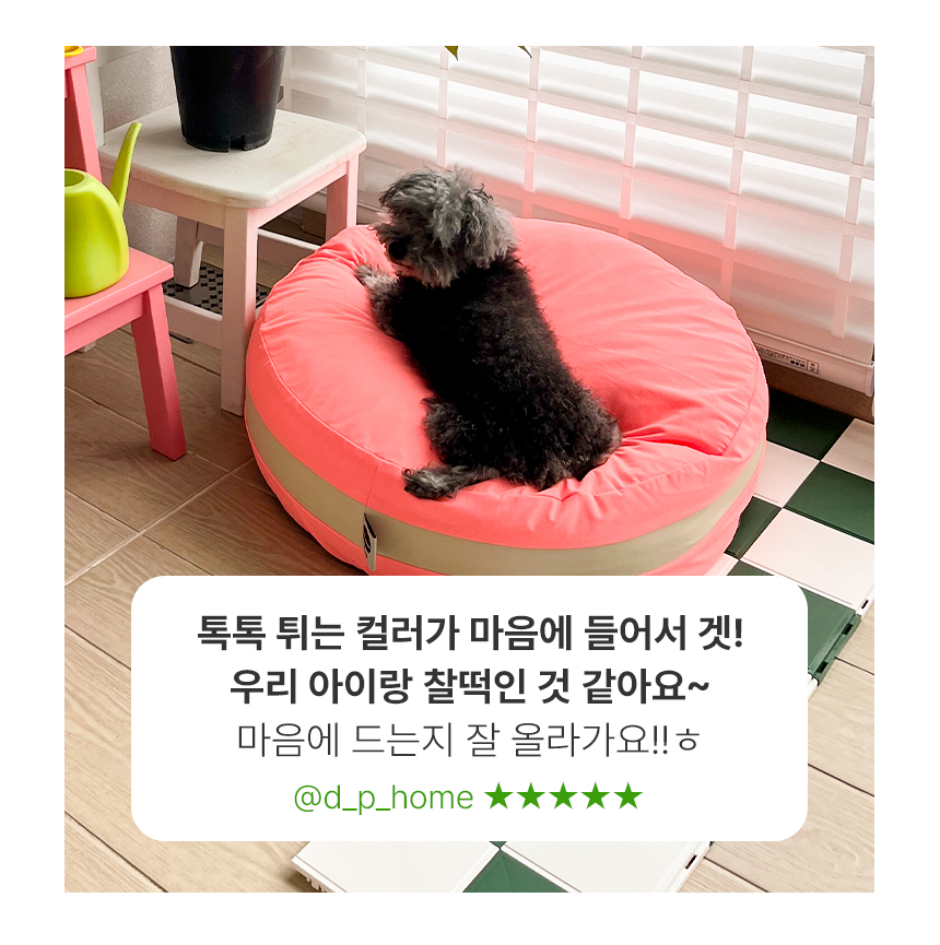 [무료배송] 초코펫하우스 마카롱 방석 소형/일반형/프리미엄 11종 37번째