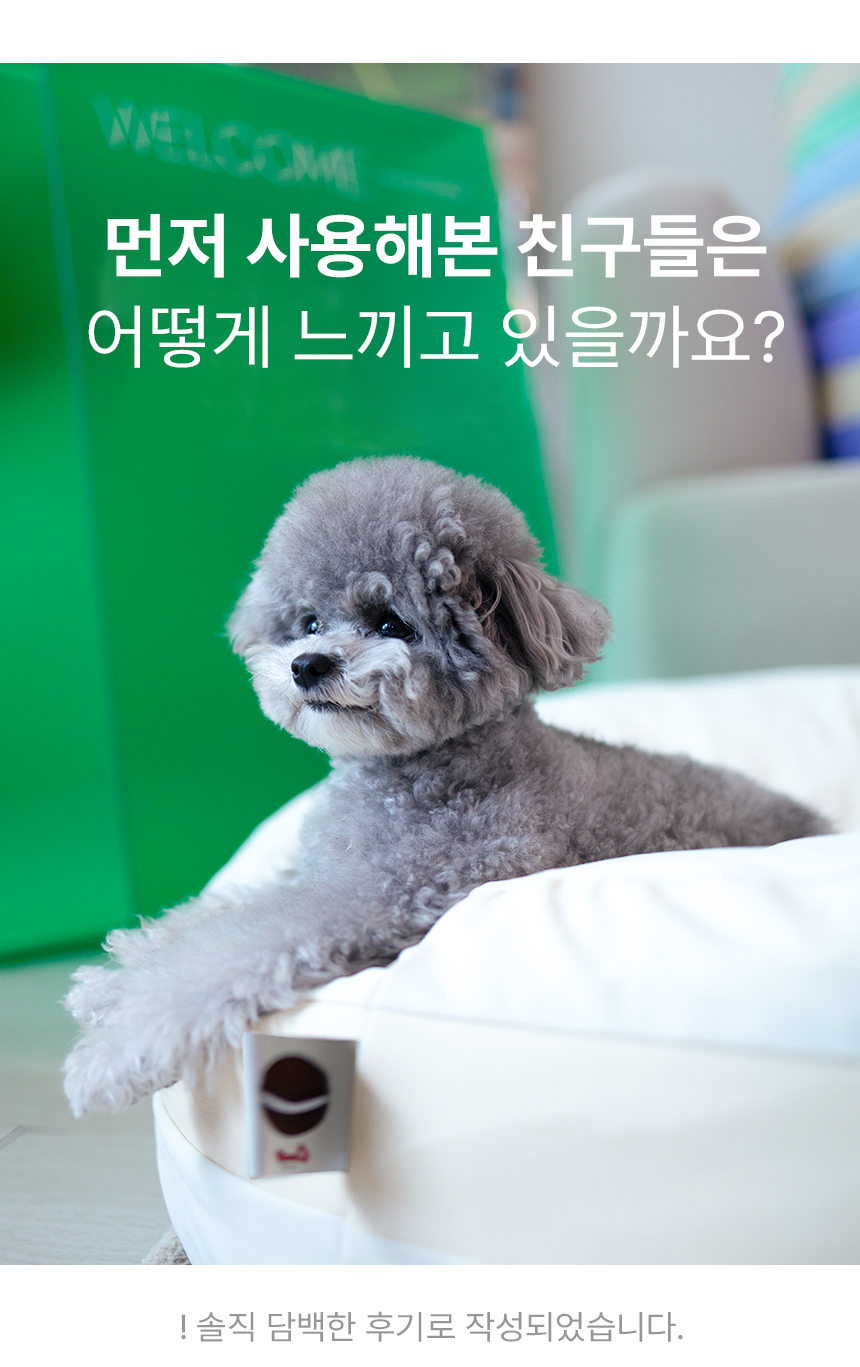 [무료배송] 초코펫하우스 마카롱 방석 소형/일반형/프리미엄 11종 19번째