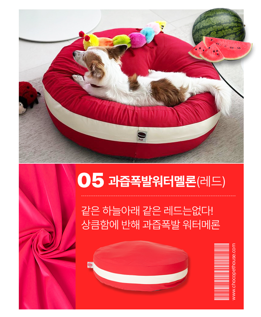 [무료배송] 초코펫하우스 마카롱 방석 소형/일반형/프리미엄 11종 52번째