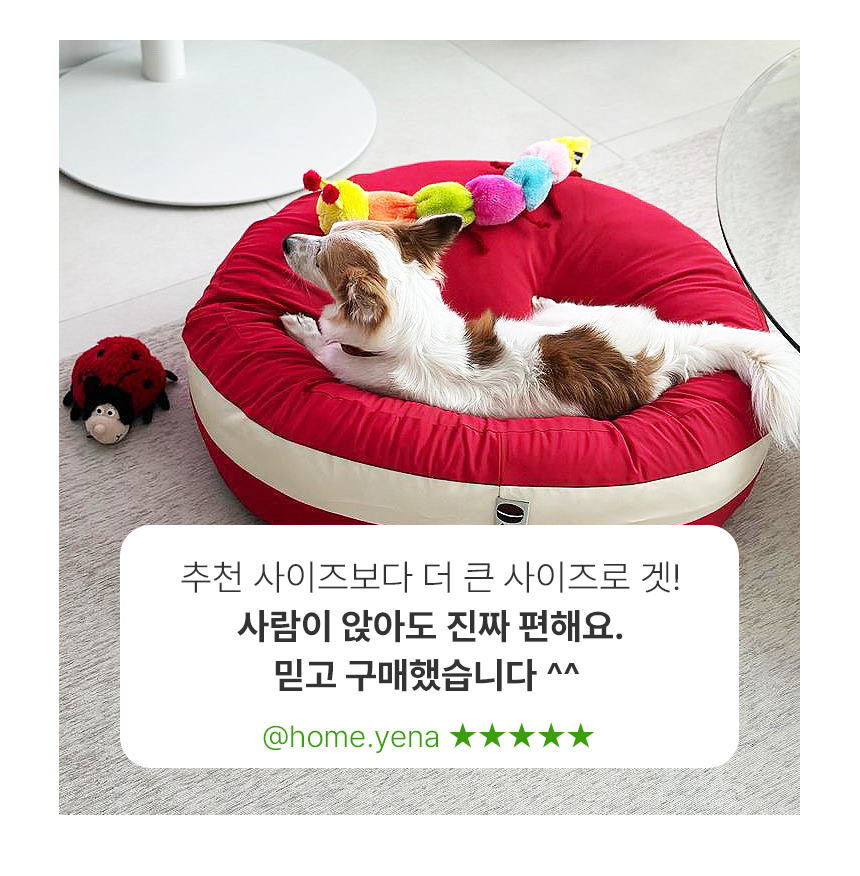 [무료배송] 초코펫하우스 마카롱 방석 소형/일반형/프리미엄 11종 22번째