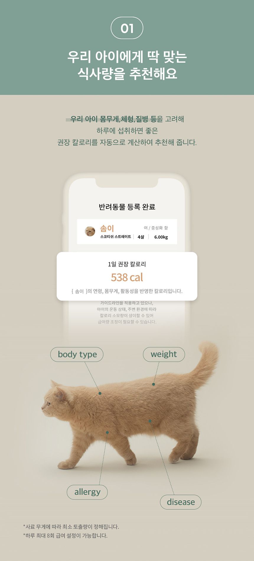 두잇 더테이블 플러스 자동급식기 S/M + 우드 다리 4번째