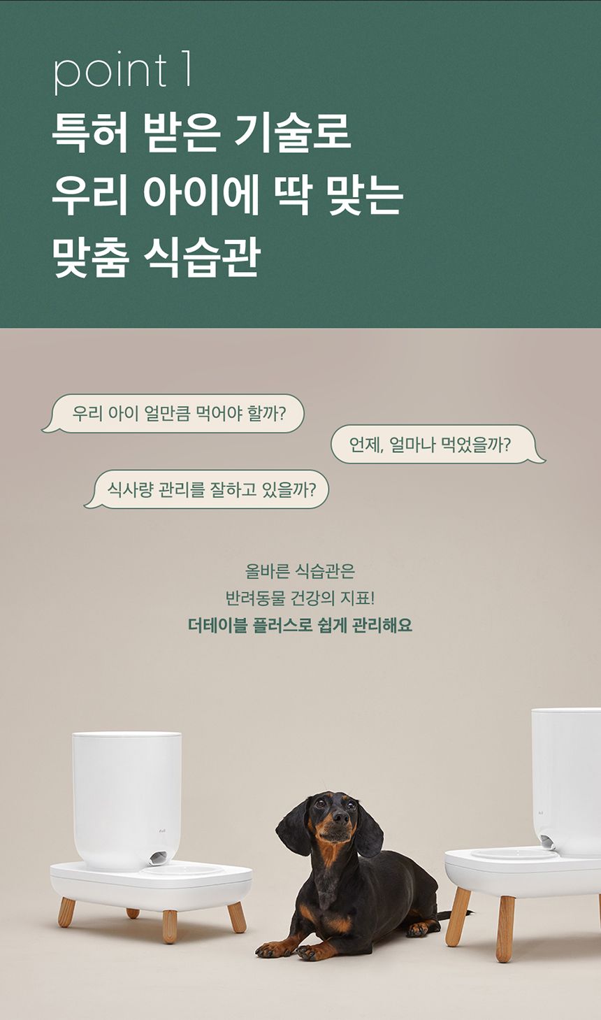두잇 더테이블 플러스 자동급식기 S/M + 우드 다리 3번째