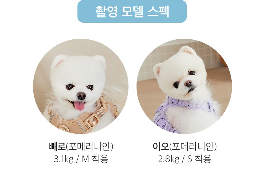 [무료배송] 페리가토 독 멀티 하네스 퍼플/그린/베이지 S-L 23번째