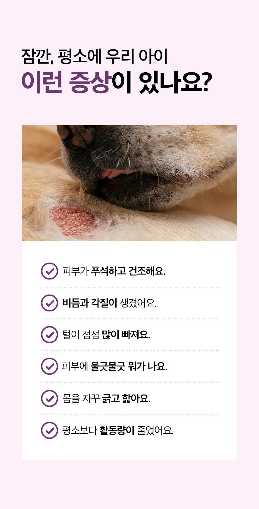 [무료배송] 목우촌 펫9단 독 바이오스킨 피부 영양제 100g 3번째