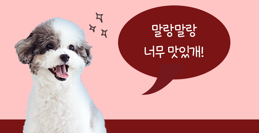 [무료배송] 목우촌 펫9단 독 바이오스킨 피부 영양제 100g 9번째