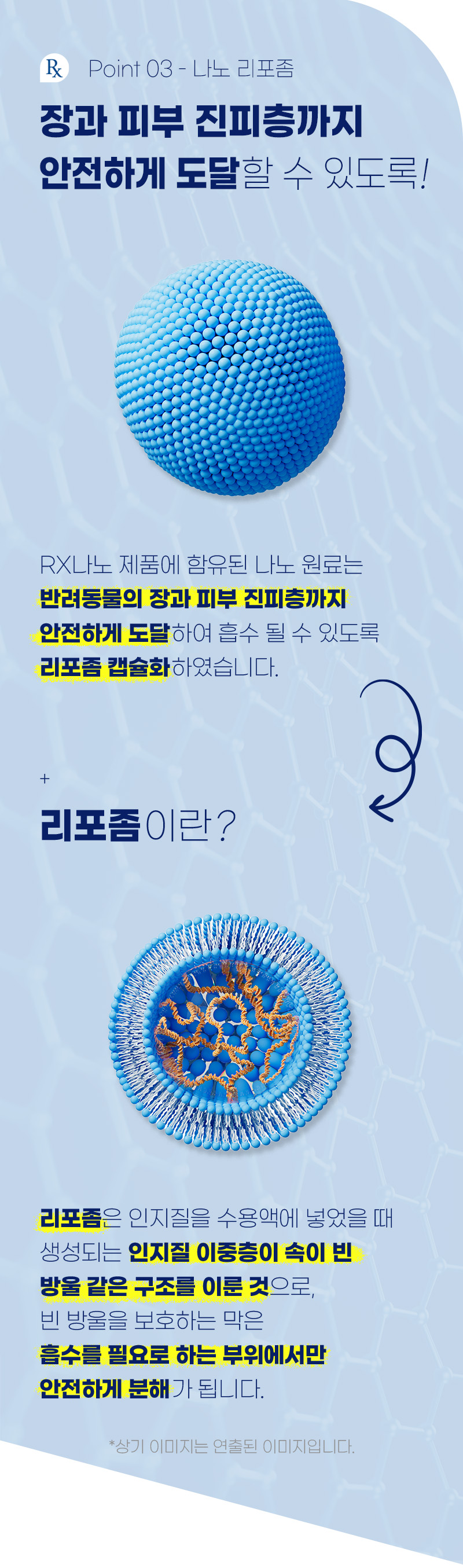 [NEW신상][무료배송] 뉴알엑스 나노 심장 처방보조제 30개입 150g 10번째